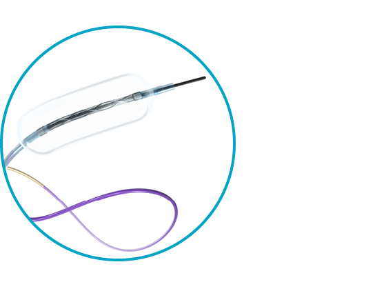 TransForm™ Occlusion Balloon Catheter